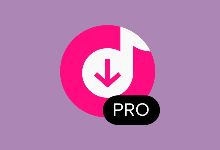 4K Tokkit(tiktok视频下载器) v25.3.0.1060 多语便携版-字母铺
