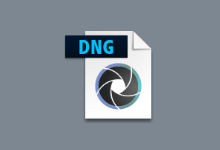 Adobe DNG Converter(相机照片转换工具) v17.5.1-字母铺