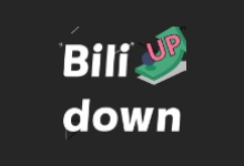 Bilidown(B站视频下载工具) v1.2.7 中文绿色版-字母铺