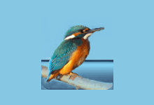 Highlight(开源的代码高亮显示工具) v4.17 中文绿色版-字母铺