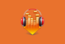 DLNow Video Downloader v1.54.2025.04.11 多语便携版-字母铺