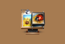 PhotoZoom(图像无损放大软件) Pro v9.0.2 多语便携版-字母铺