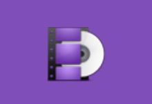 WonderFox DVD Ripper(专业DVD转换软件) Pro v24.0 便携版-字母铺