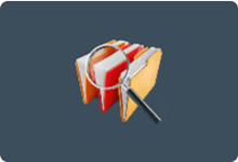 Auslogics Duplicate File Finder(查找删除重复文件) v11.0.0.0 便携版-字母铺