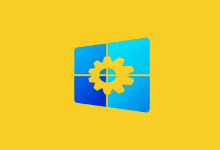 Windows Manager 10/11(Win10/11优化大师) v2.2.0 多语便携版-字母铺