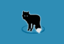MetaFox(轻量级视频转换软件) v2.5.9.1 英文便携版-字母铺