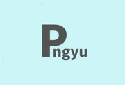 Pngyu(PNG图像批量压缩工具) v1.0.5 中文绿色版-字母铺