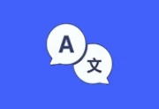CopyTranslator(多语言翻译工具) v12.0.0 中文绿色版-字母铺